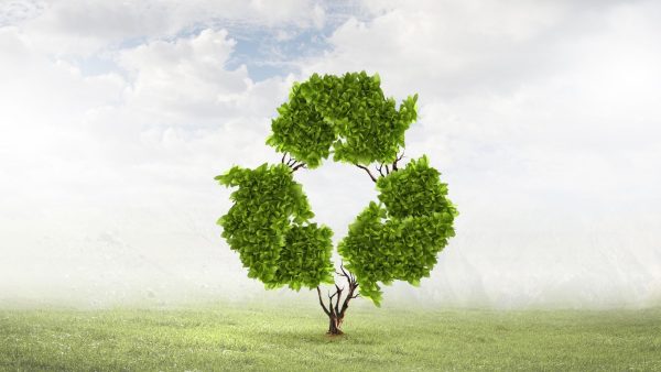 document shredding protects the environment